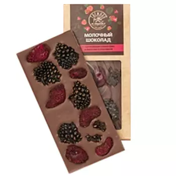 Шоколад молочный Таежная кладовая с сосновой шишкой и вяленой клубникой 90 г