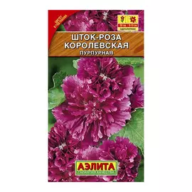 Шток-роза Аэлита королевская пурпурная