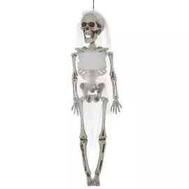 Скелет в сетке кубера