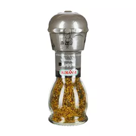 Смесь карри Kotanyi 45 г