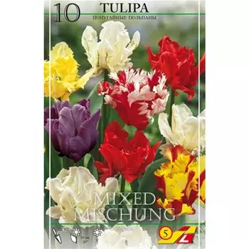 Смесь тюльпанов Lefeber Попугайные 10 шт