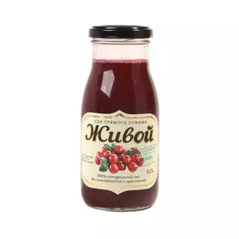 Сок ЖИВОЙ Клюквенный прямого отжима 250 мл