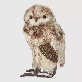 Сова James arts коричневая, 19х18х35 см