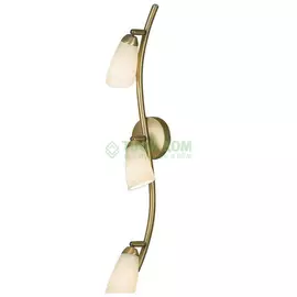 Спот CITILUX Белла (CL501533)