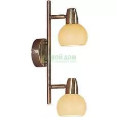 Спот CITILUX Бонго (CL516523)