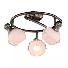 Спот Citilux Кампана CL540531