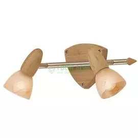 Спот CITILUX Монте CL505521 (CL505521)