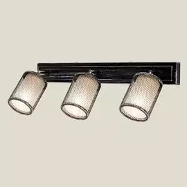 Спот Citilux Робин серебро темное CL535531