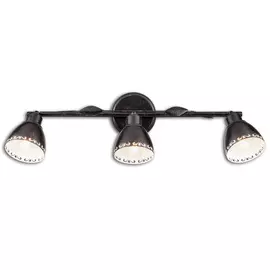 Спот Citilux Робуста CL509532