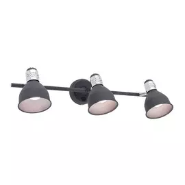 Спот с выключателем Citilux Опус серый хром CL502534