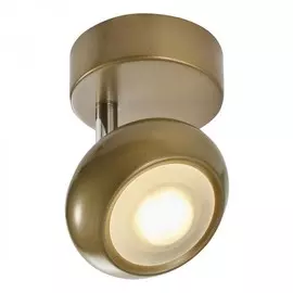 Спот Toplight Carissa TL1244Y-01SG