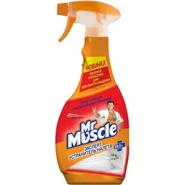 Спрей Mr Muscle Эксперт устранитель налета 500 мл