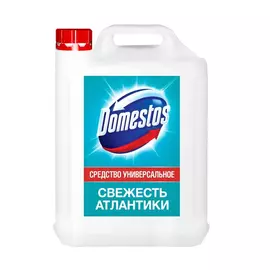 Средство универсальное domestos свежесть атлантики 5л