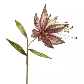 Стебель декоративный Goodwill цветок 55 см