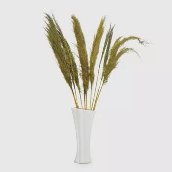 Сухоцветы Dekor pap IJ0047 90-100 см