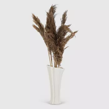 Сухоцветы Dekor pap IJ0050 90-100 см