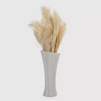 Сухоцветы Dekor pap IJ0062 25-35 см