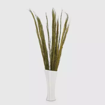 Сухоцветы Dekor pap IJ0064 100 см