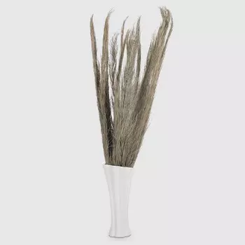 Сухоцветы Dekor pap IJ0066 100 см