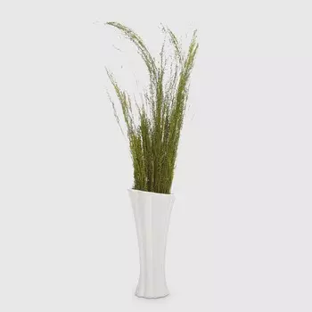 Сухоцветы Dekor pap IJ0072 40-80 см