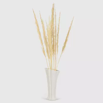 Сухоцветы Конэко-О IJ0052 90-100 см