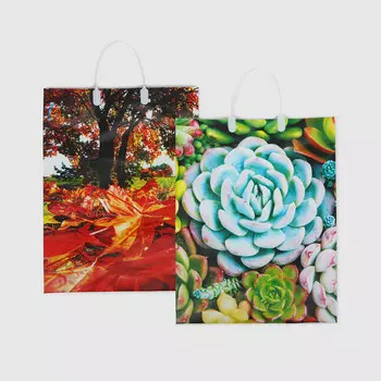 Сумка подарочная Мегамаг мягкий пластик PBL 32х42х10 см в ассортименте