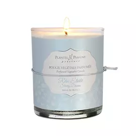 Свеча ароматическая Plantes et parfums Звездная ночь 180 г