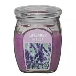 Свеча Bolsius 120/92 лаванда (103926110377)