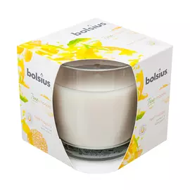 Свеча Bolsius в стакане манго 9,5х9,5 см