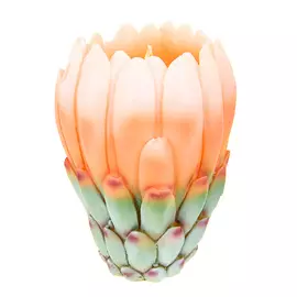 Свеча декор оранжевая Edg protea 14х10см