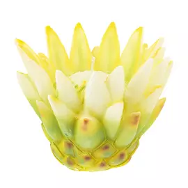 Свеча декор желтая Edg protea 10х12см