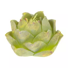 Свеча Edg cactus 8х11см