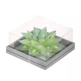 Свеча Edg echeveria 7х14см