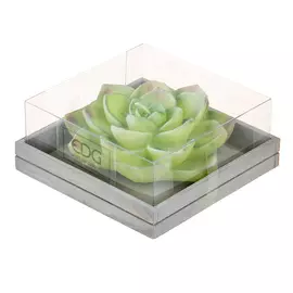 Свеча Edg succulent 5х13см