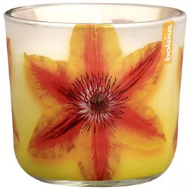 Свеча в стакане Bolsius аромат 76/78 ycl