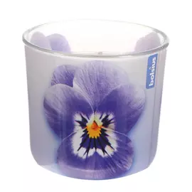 Свеча в стакане Bolsius ароматическая 76/78 мм lavanda