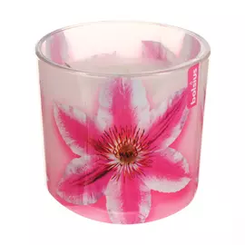 Свеча в стакане Bolsius ароматическая 76/78 мм pcl