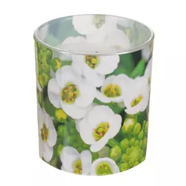 Свеча в стакане Bolsius ароматическая 80/72 мм scu