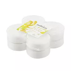 Свечи ароматические Bolsius 8шт манго и бергамот