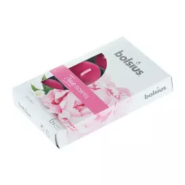 Свечи Bolsius ароматические 6шт пион