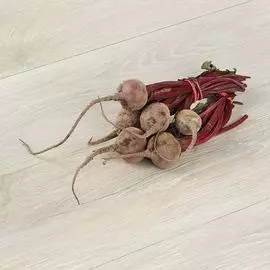 Свекла