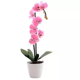 Светильник декоративный Старт орхидея розовая 2АА