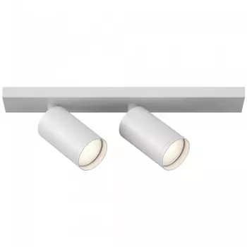 Светильник Maytoni C051CL-U-2W