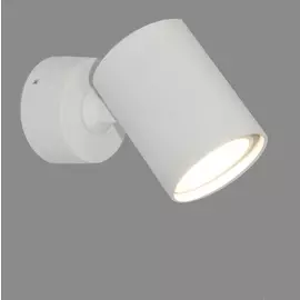 Светильник накладной белый Elvan 2410/1-g10-wh