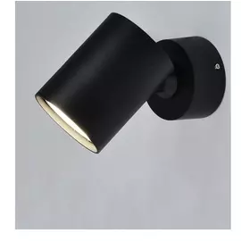 Светильник накладной черный Elvan 2410/1-g10-bk