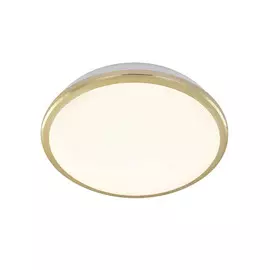 Светильник накладной светодиодный Citilux Луна золото CL702162W