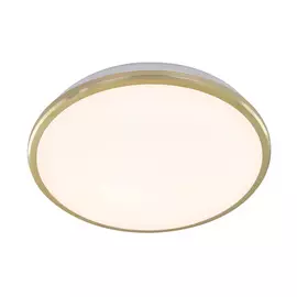 Светильник накладной светодиодный Citilux Луна золотой CL702222W