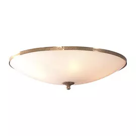 Светильник настенно-потолочный Citilux CL912500 белый