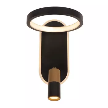 Светильник настенный Arte Lamp A2613Ap-2Bk
