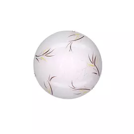 Светильник настенный Citilux Ива CL917009